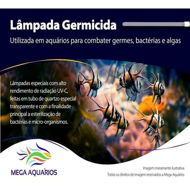 Imagem de Lâmpada 55W Pl Uv -C Germicida 4 Pinos Ultra Violeta Aquário