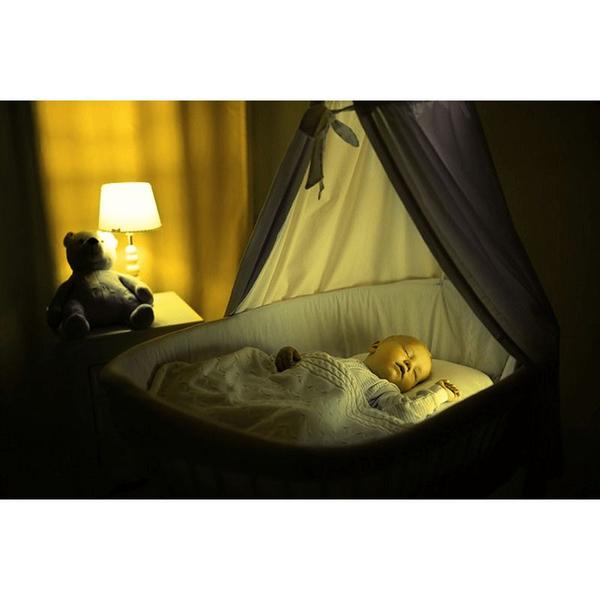 Lâmpada Anti Inseto Incandescente 100w 220v - Sadokin Imagem de Lâmpada Anti Inseto Incandescente 100w 220v