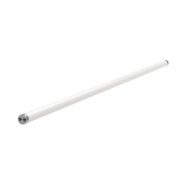 Imagem de Lâmpada Fluorescente Tubular T10 20w G13 Branco Frio 60cm