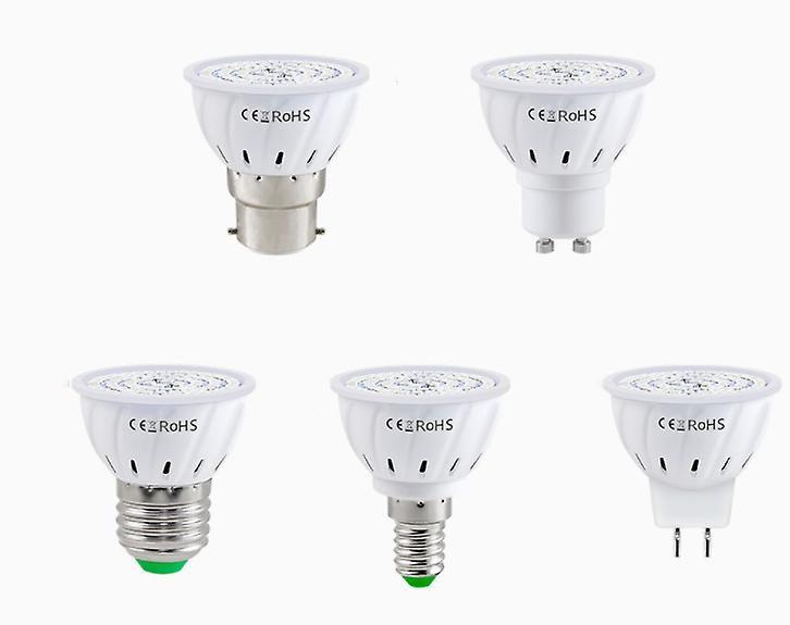 Imagem de Lâmpada LED Grow Wokex B22 80 LEDs de espectro completo