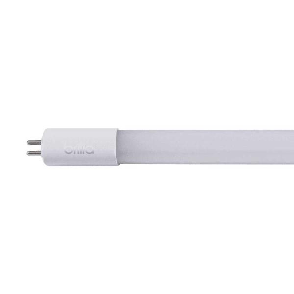 Lâmpada LED Tubo T5 55cm 9W Bivolt 6500K G5 Frio Brilia Imagem de Lâmpada LED Tubo T5 55cm 9W Bivolt 6500K G5 Frio Brilia
