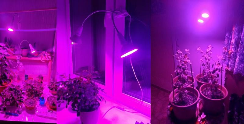 Imagem de Lâmpada Plantas 18W LED Grow Light Com Luz Solar  + Luminária de Mesa 1 Bocal - Cresça Suas Plantinhas