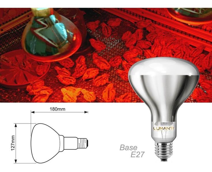 Imagem de Lâmpada Secagem Infra Vermelho 250W 220V E27 Clara