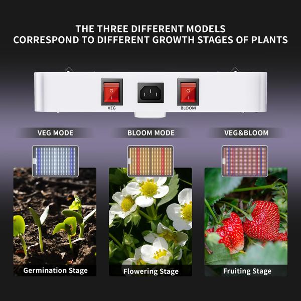 Imagem de Lâmpadas LED Grow Lights KingLED KP1000 com cobertura total de 2 x 2 pés