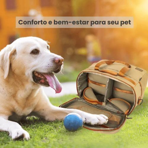 Imagem de Lancheira Pet com 4 Peças PLUSH Up4you