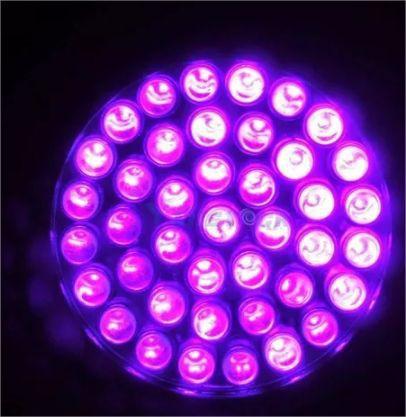 Imagem de Lanterna  Ultra Violeta Uv 21 Leds - Dinheiro Falso Luz Negra