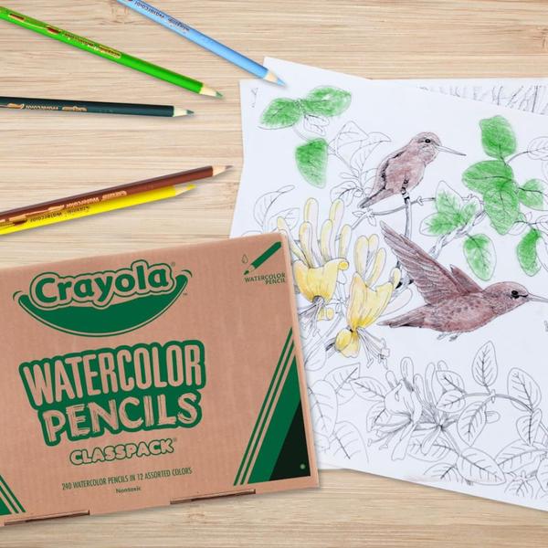 Imagem de Lápis de Aquarela Crayola Classpack - 240 Unidades para Sala de Aula