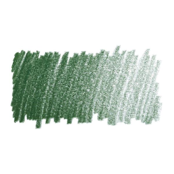 Imagem de Lápis de Cor Faber-Castell Polychromos Permanente 165 Verde Zimbro