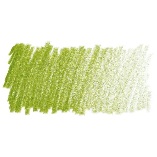 Imagem de Lápis de Cor Faber-Castell Polychromos Permanente 170 Verde Maio