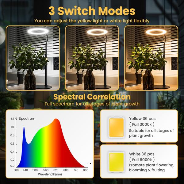 Imagem de LED Grow Light Beah Full Spectrum com temporizador e regulável de 72 W