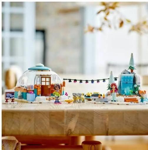 Imagem de LEGO Friends - Pista de Esqui e Café 41756 - Brinquedo