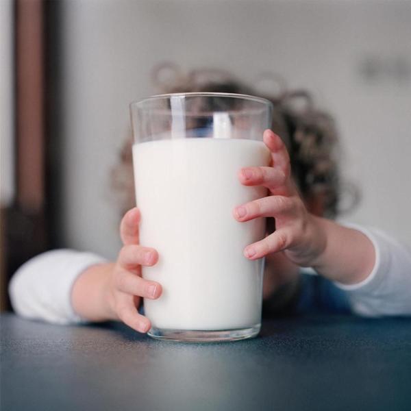 Leite Em Pó Molico Desnatado Nestlé Kit 5 Imagem de Leite Em Pó Molico Desnatado Nestlé Kit 5