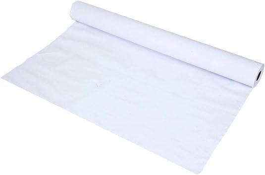 Imagem de Lençol de Papel Hospitalar Eco Luxo 70cm x 50 Metros 1 Unidade Plumax