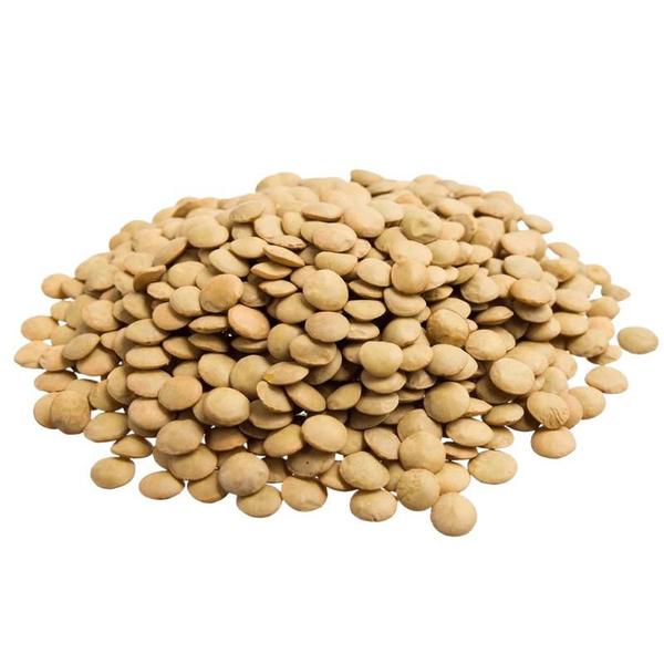 Lentilha canadense - C2 ALIMENTOS Imagem de Lentilha canadense