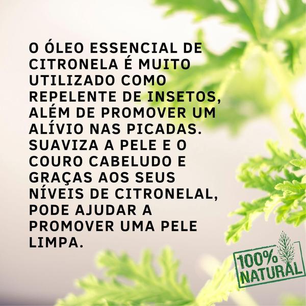 Imagem de Leo Essencial De Citronela 10Ml Eccos