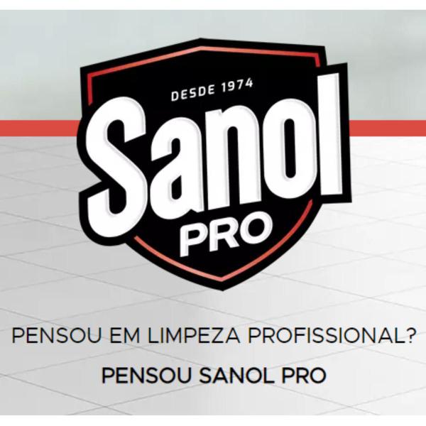 Imagem de Limpa Rejunte Gatilho Ação Antibactericida Sanol Pro 500ml