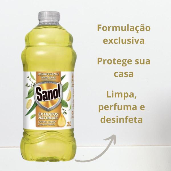 Limpador Desinfetante Extratos Naturais Capim Limão Sanol 2L - Plush Sanol Imagem de Limpador Desinfetante Extratos Naturais Capim Limão Sanol 2L
