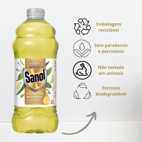 Limpador Desinfetante Extratos Naturais Capim Limão Sanol 2L - Plush Sanol Imagem de Limpador Desinfetante Extratos Naturais Capim Limão Sanol 2L