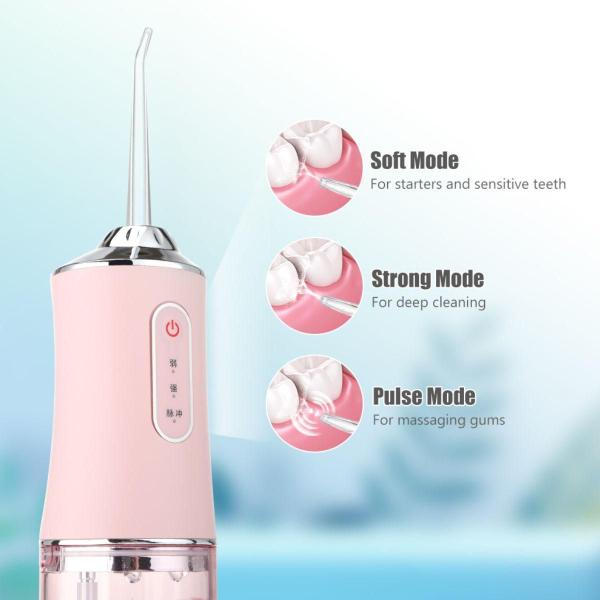 Imagem de Limpador Oral Irrigador Bucal Water Pic Dente Gengiva Bivolt