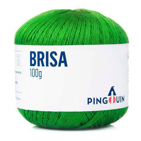 Imagem de Linha Brisa Bola 100g 500M  - PINGOUIN