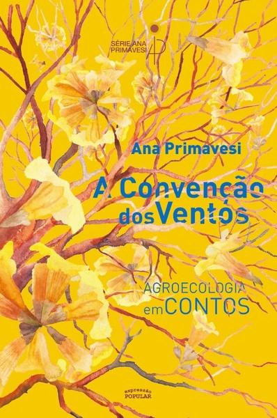 Imagem de Livro - A Convenção dos ventos