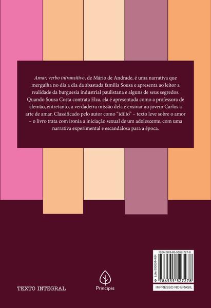 Livro - Amar, verbo intransitivo Imagem de Livro - Amar, verbo intransitivo
