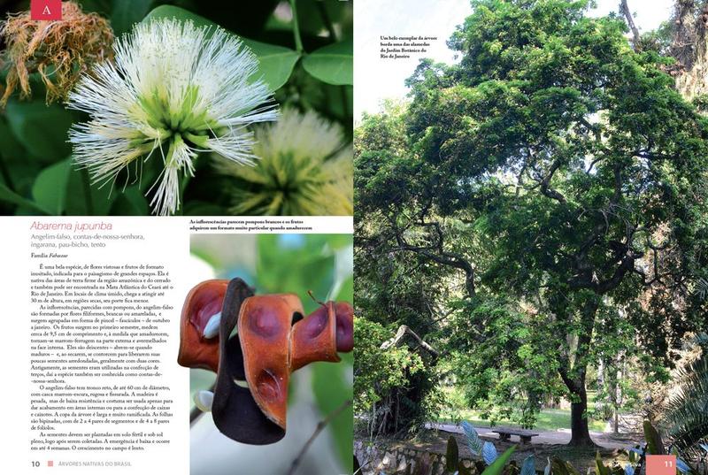 Imagem de Livro - Árvores Nativas do Brasil: 255 Plantas de A a Z