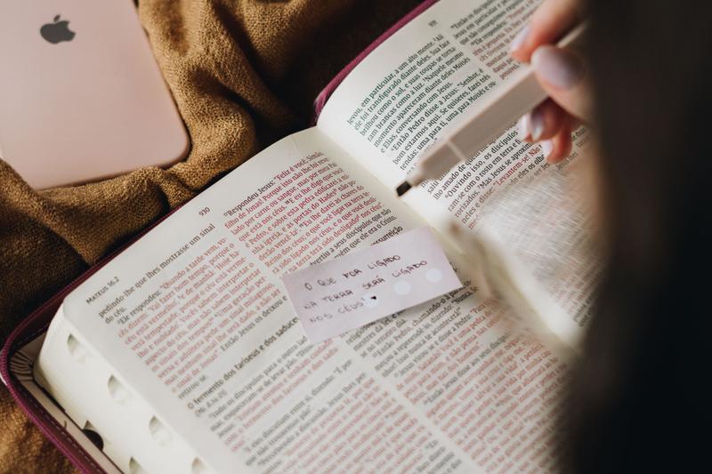 Imagem de Livro - Bíblia NVI com zíper: capa em couro soft rosa com acabamento em glitter, letras de Jesus em vermelho, Leitura Perfeita: Nova Versão Internacional