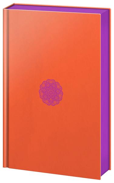 Livro - Box Hermann Hesse - Livros de Literatura - Magazine