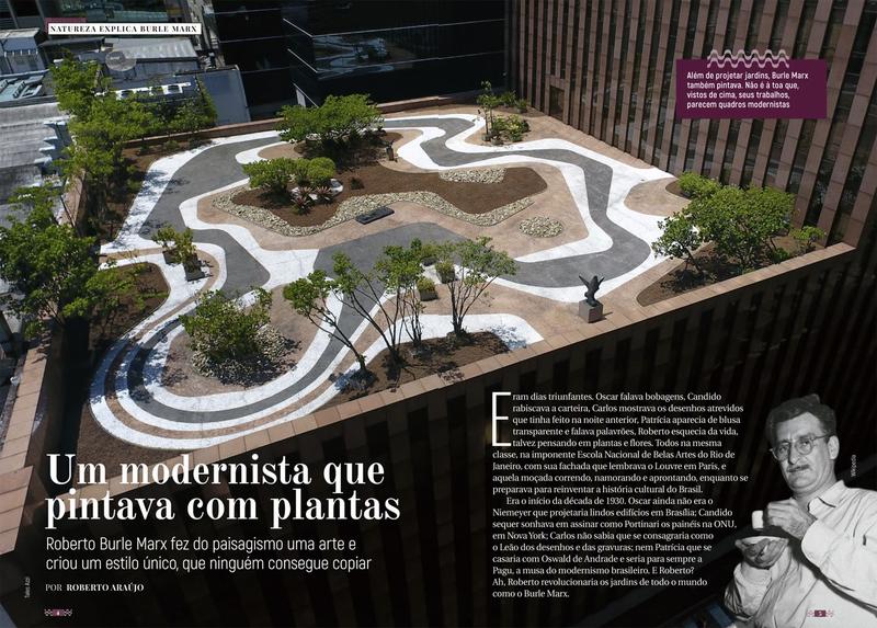 Imagem de Livro - Burle Marx - Coleção Natureza Explica