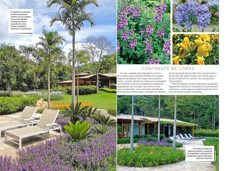 Imagem de Livro - Coleção Grandes Paisagistas Brasileiros - Os Melhores Projetos de Claudio Pedalino e Gabriela Setta