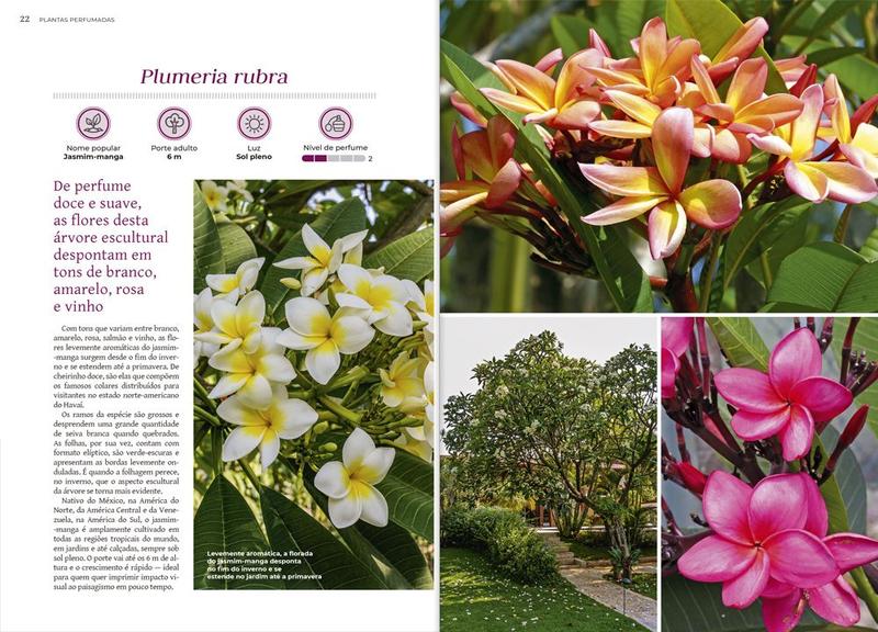 Imagem de Livro - Coleção Plantas Perfumadas - 3 Árvores e Trepadeiras