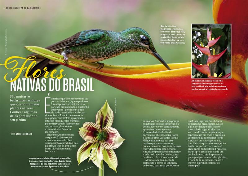 Imagem de Livro - Curso Natureza de Paisagismo - Como Usar em Projetos e Cultivar Flores Nativas