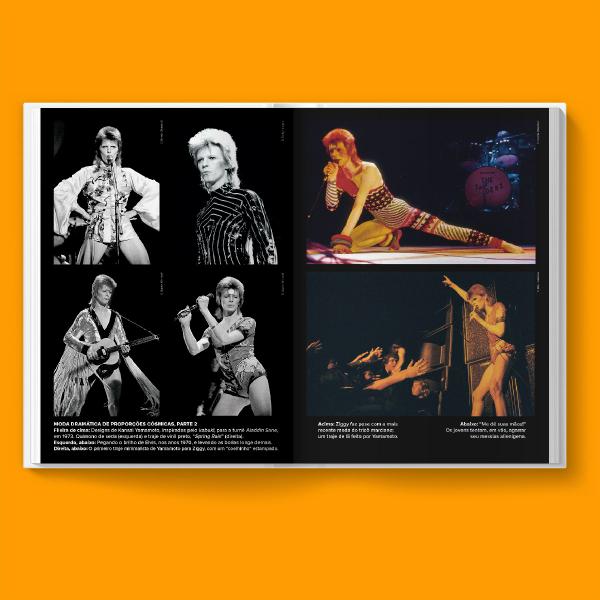 Imagem de Livro - David Bowie