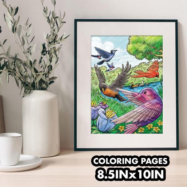 Imagem de Livro de colorir Crayola Bird 40 unidades para adulto 21,6 x 25,4 cm com perfurado