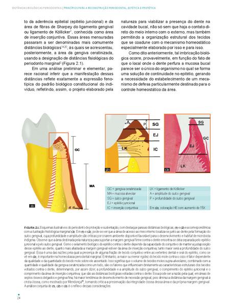 Imagem de Livro - Distâncias Biológicas Periodontais