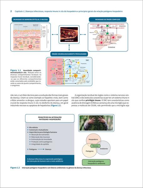 Imagem de Livro - Doenças Infecciosas