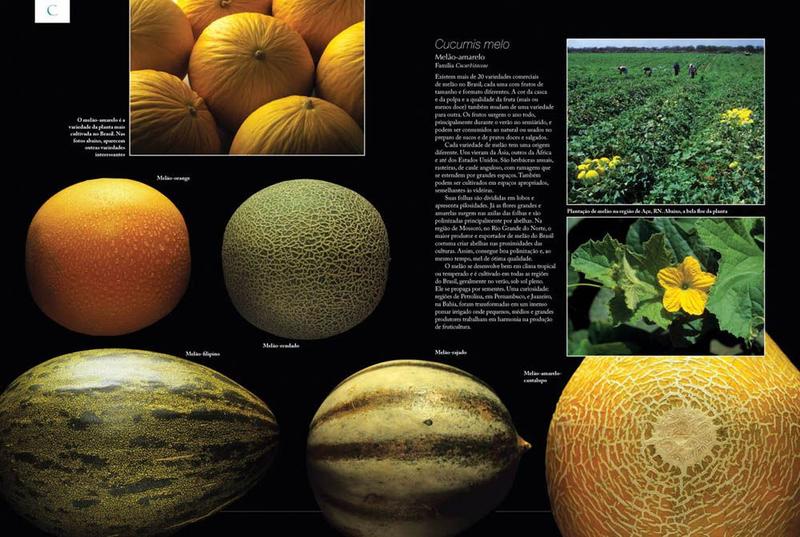 Imagem de Livro - Frutas, Cores e Sabores do Brasil - Volume 2