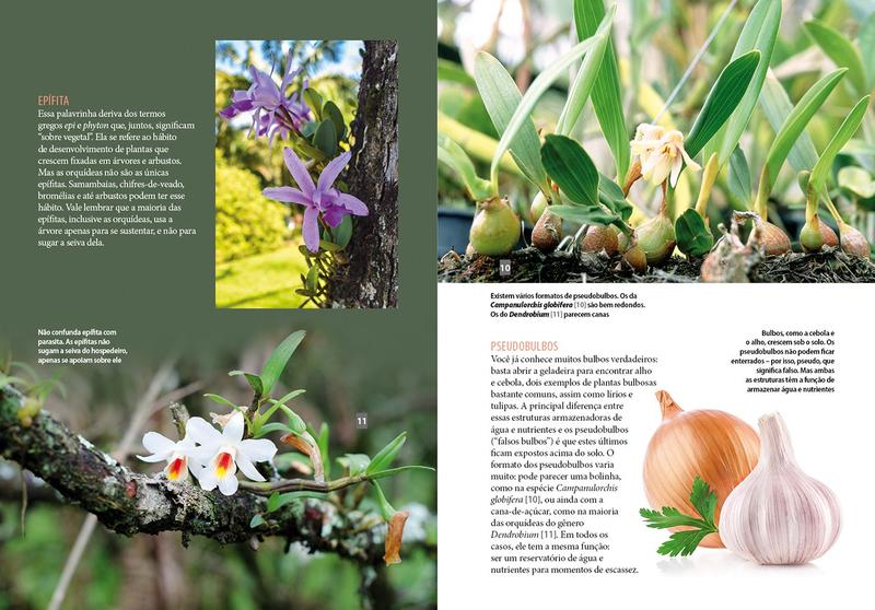 Imagem de Livro - Guia Prático de Orquídeas 1 - Regras Básicas