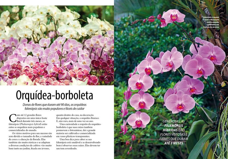 Imagem de Livro - Guia Prático de Orquídeas 3 - 15 Espécies Para Começar