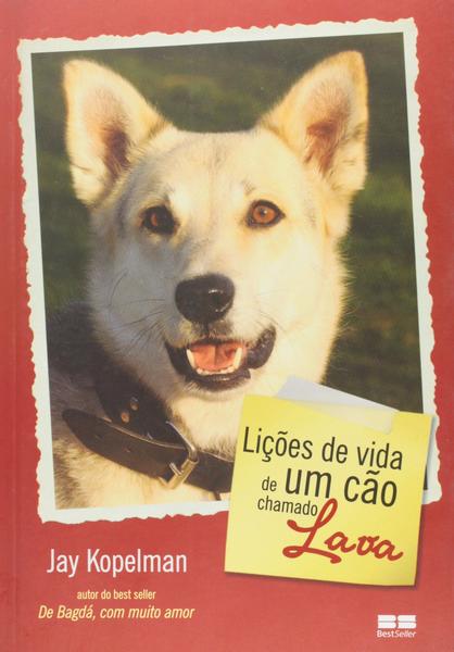 Imagem de Livro - Lições de vida de um cão chamado Lava