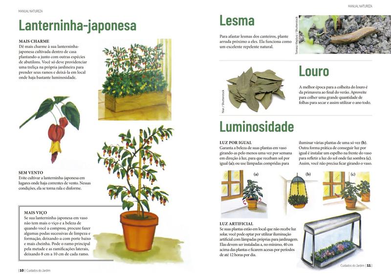 Imagem de Livro - Manual Natureza - Volume 12: Cuidados do Jardim