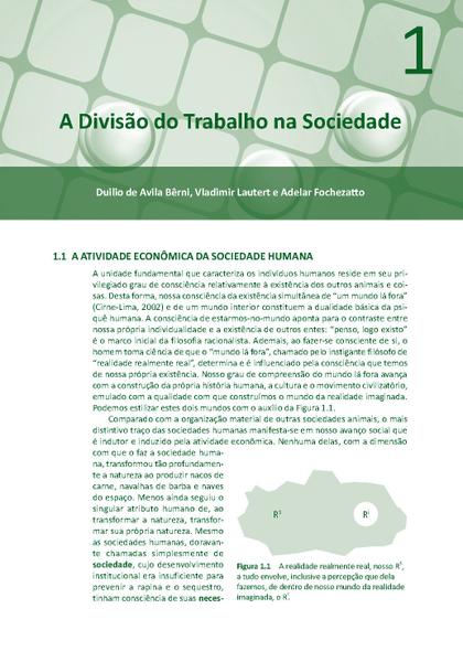 Imagem de Livro - Mesoeconomia - Lições de Contabilidade Social