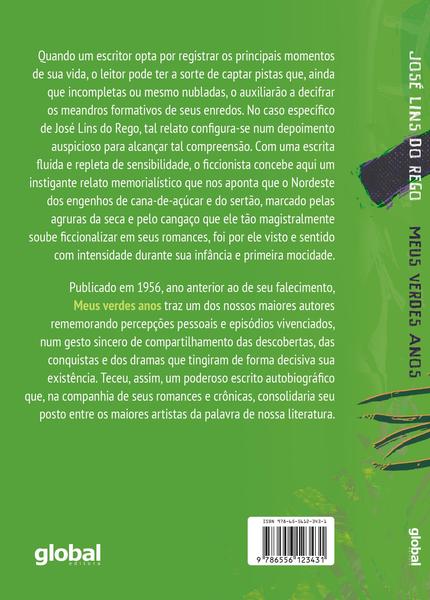 Imagem de Livro - Meus verdes anos