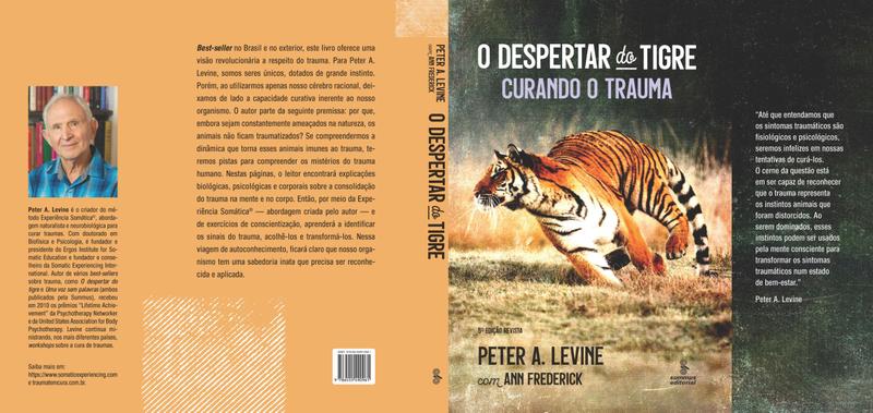 Imagem de Livro - O despertar do tigre