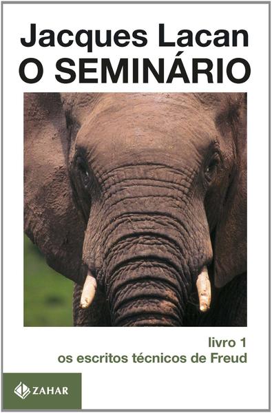 Imagem de Livro - O Seminário, livro 1