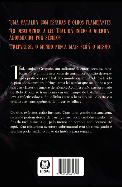 Imagem de Livro - O senhor da Chuva