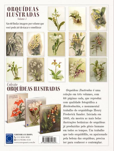 Livro - Orquídeas Ilustradas - Volume 3 Imagem de Livro - Orquídeas Ilustradas - Volume 3