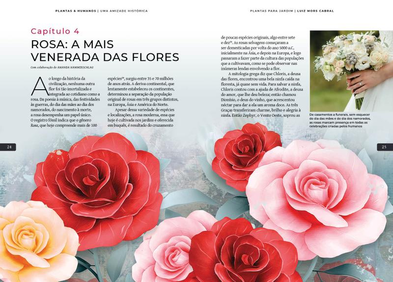 Livro - Plantas & Humanos, uma Amizade Histórica: Plantas para Jardim Imagem de Livro - Plantas & Humanos, uma Amizade Histórica: Plantas para Jardim