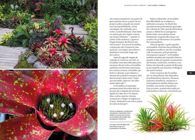 Livro - Plantas & Humanos, uma Amizade Histórica: Plantas para Jardim Imagem de Livro - Plantas & Humanos, uma Amizade Histórica: Plantas para Jardim